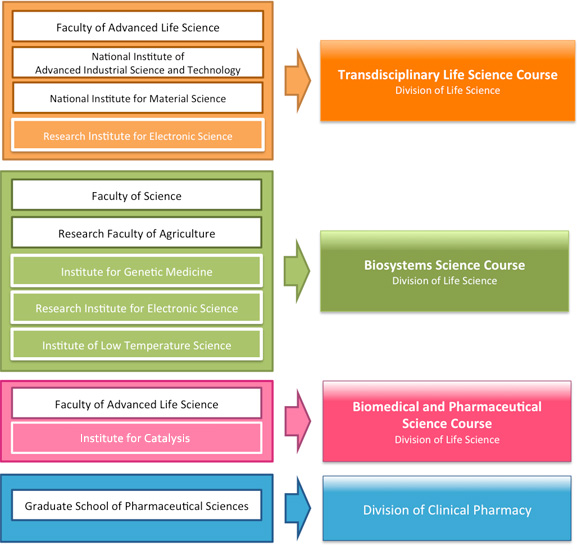 Four faculties and six research institutions provide education within our graduate school.