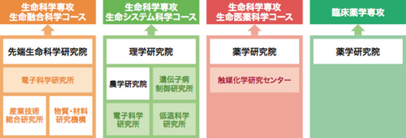 生命科学院のコースと専攻