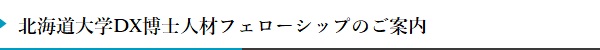 北海道大学DX博士人材フェローシップ