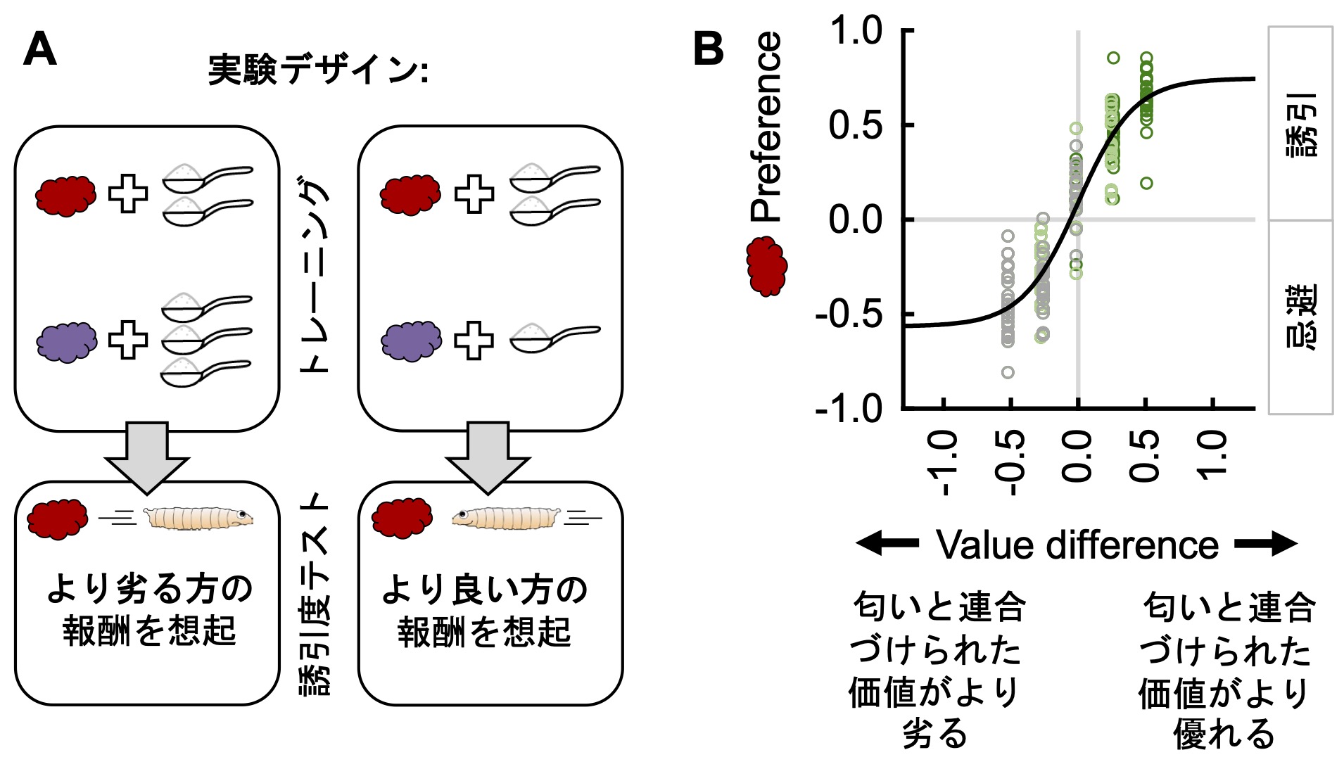 昆虫の幼虫も「がっかり体験」から学ぶことができる
